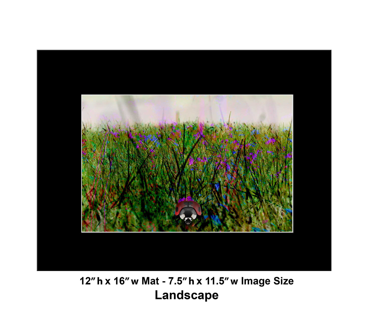 119 Colorful Grass Landscape