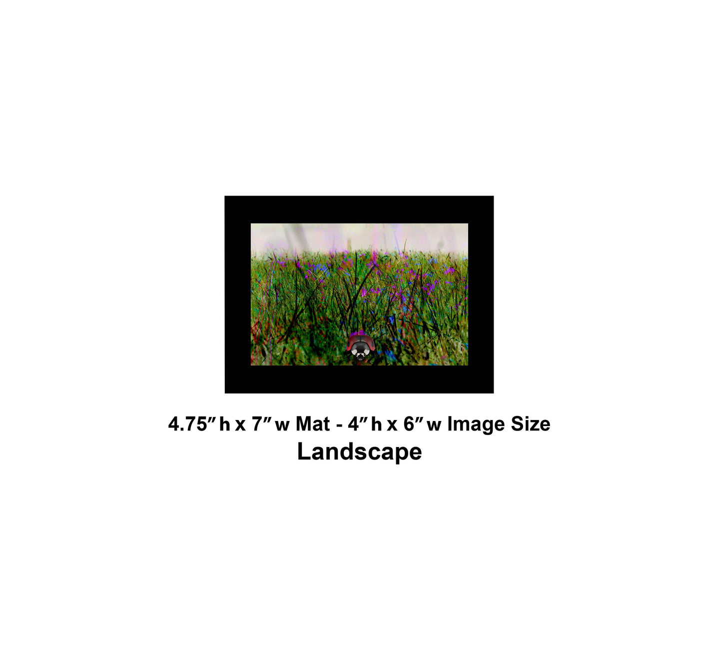 119 Colorful Grass Landscape