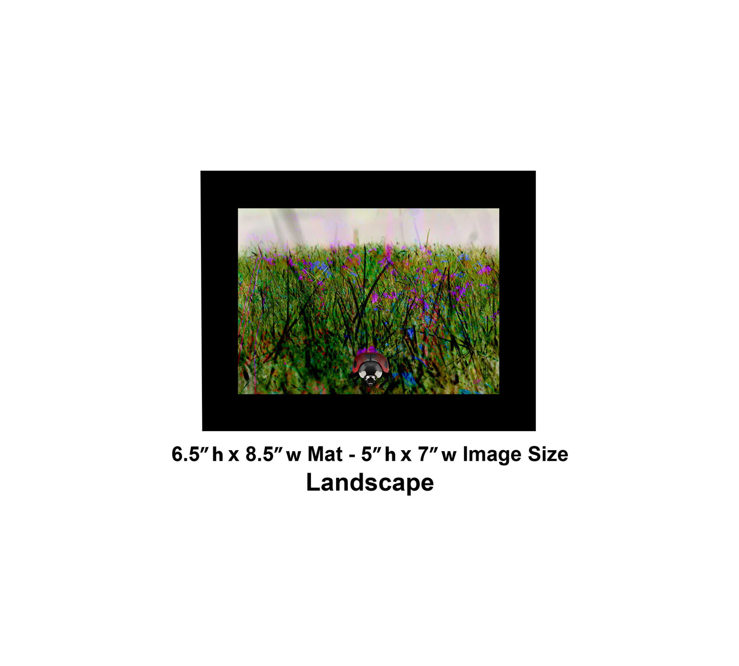 119 Colorful Grass Landscape