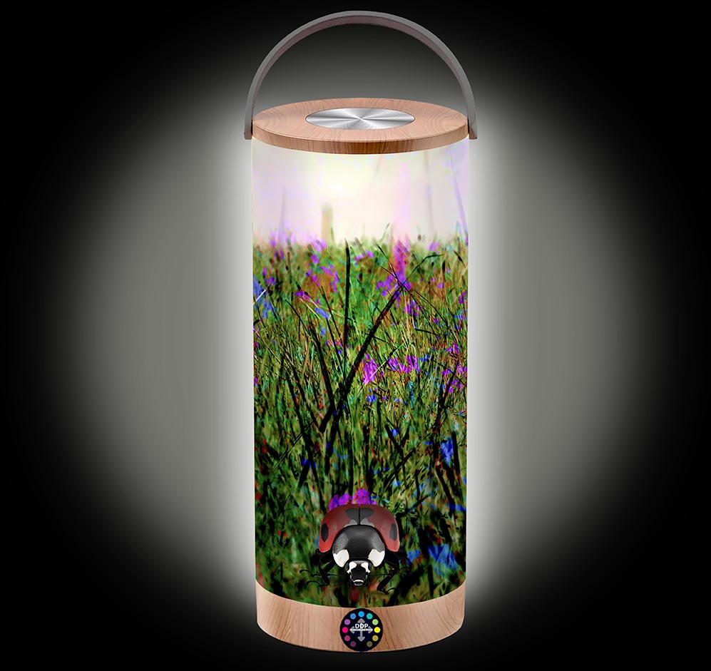 119 Colorful Grass Landscape LED Lantern