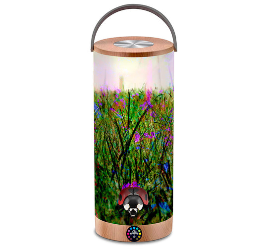 119 Colorful Grass Landscape LED Lantern