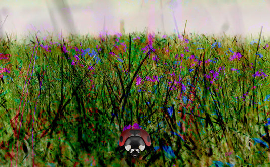 119 Colorful Grass Landscape
