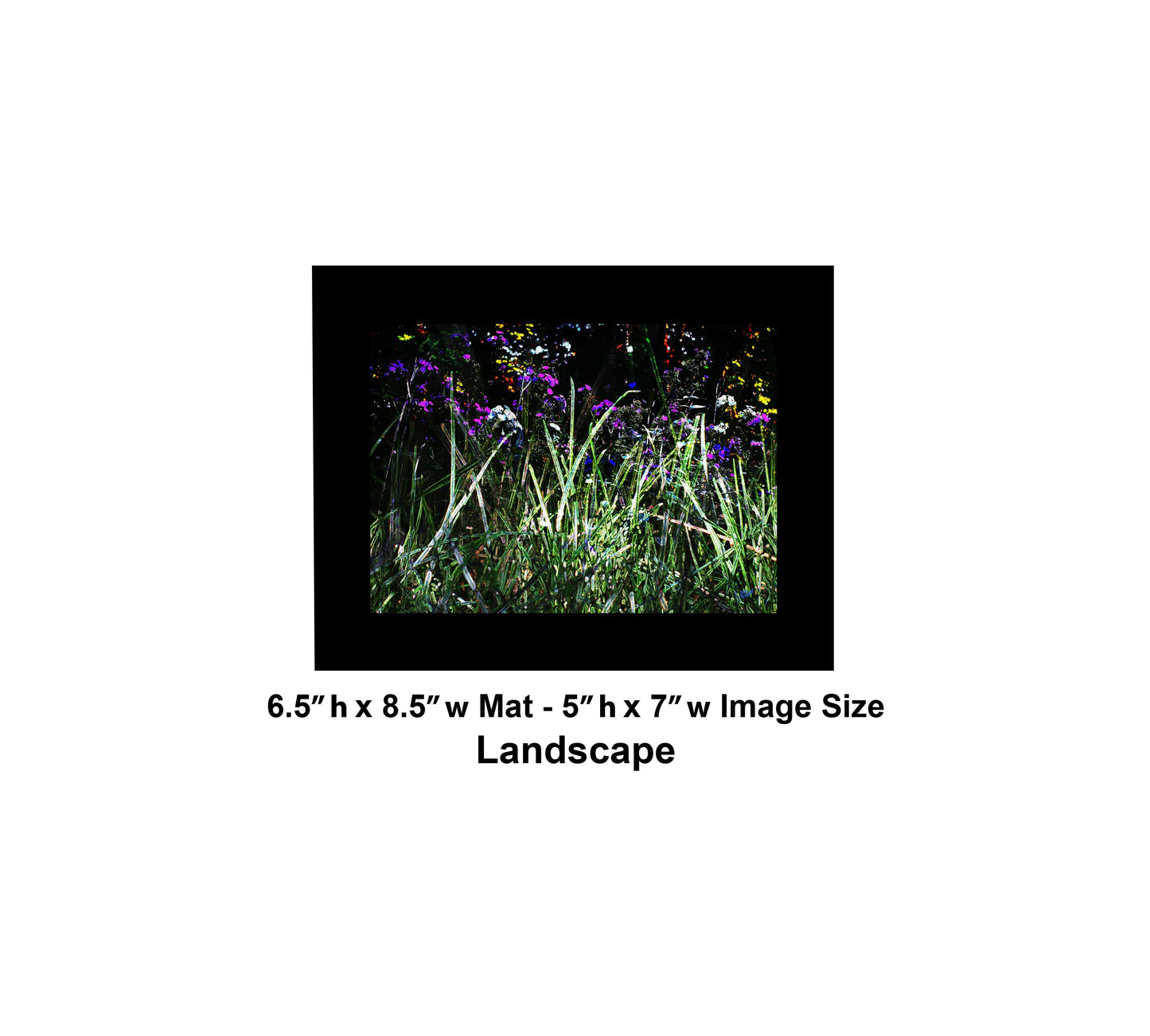 130 Dark Green Grass Color Flowers Landscape