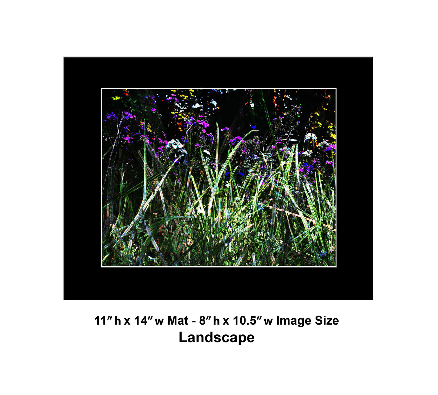 130 Dark Green Grass Color Flowers Landscape