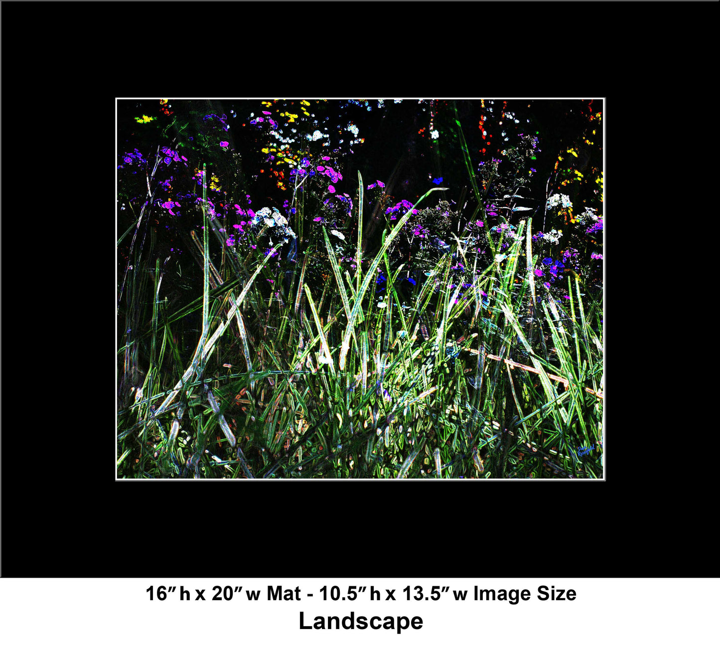 130 Dark Green Grass Color Flowers Landscape