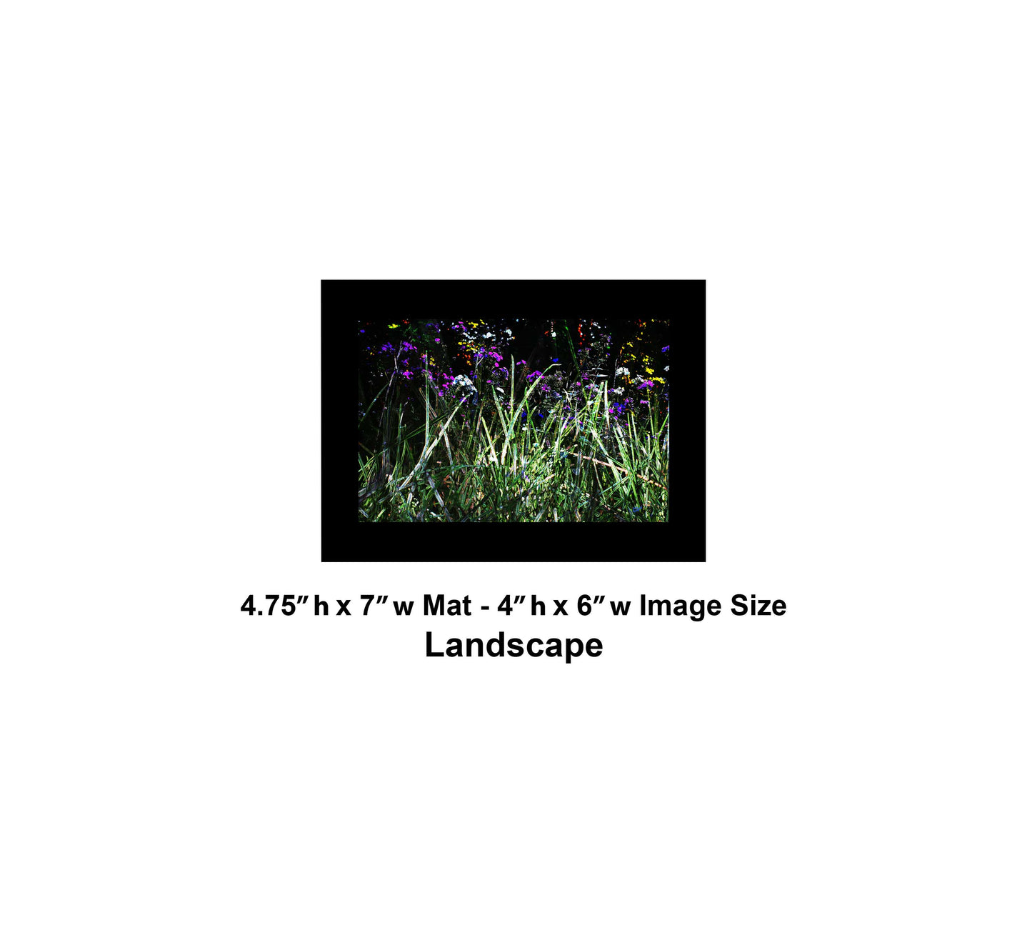 130 Dark Green Grass Color Flowers Landscape