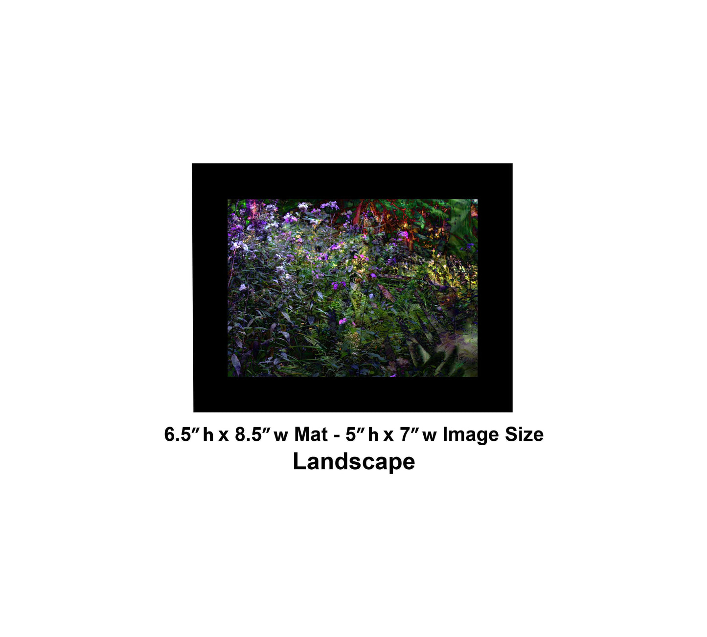 131 Dark Color Flower Landscape