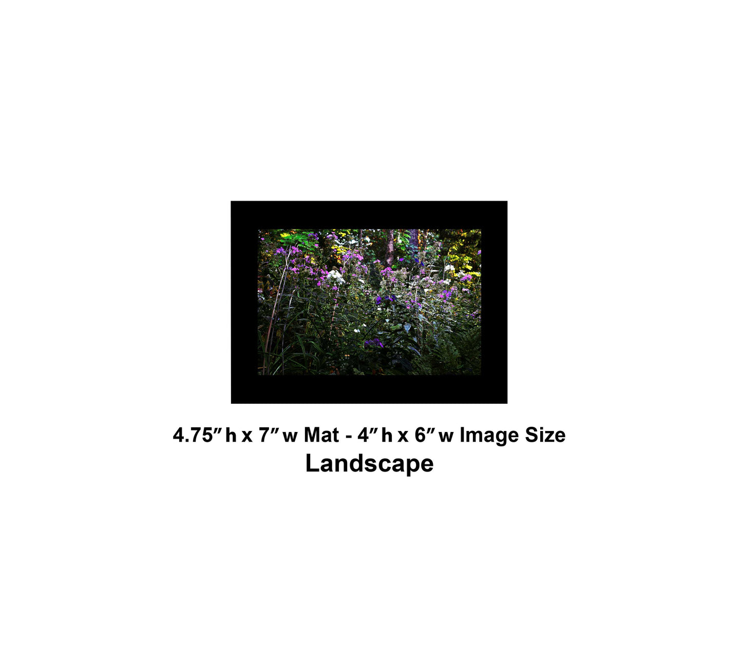 132 Dark Glowing Color Flowers Landscape