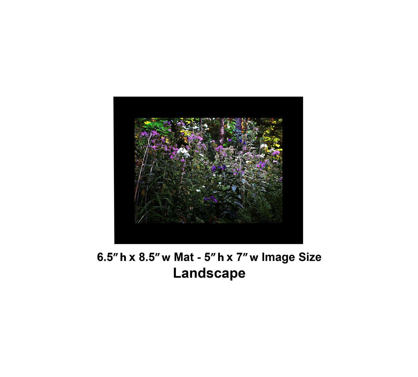 132 Dark Glowing Color Flowers Landscape