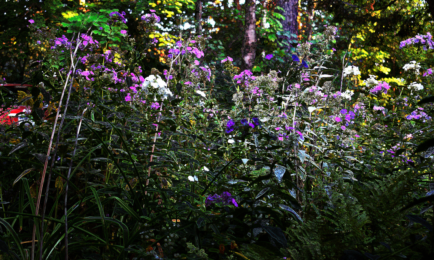 132 Dark Glowing Color Flowers Landscape