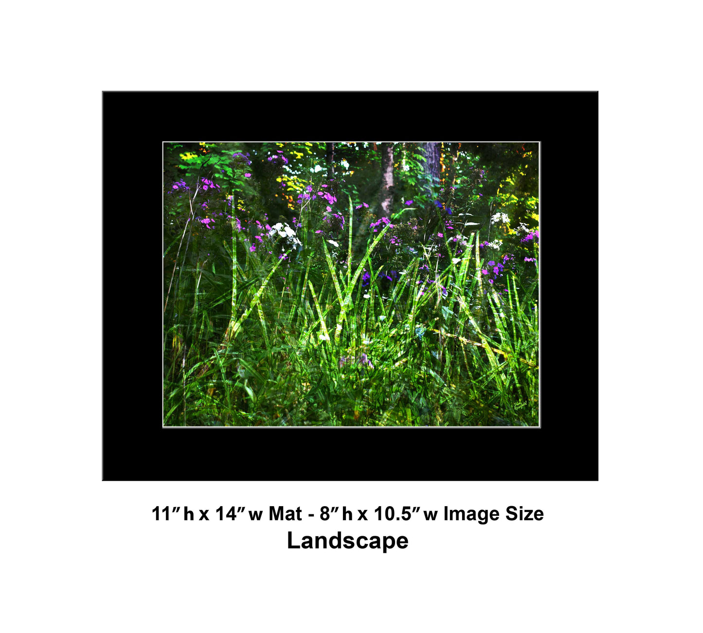 133 Green Grass Color Flowers Landscape