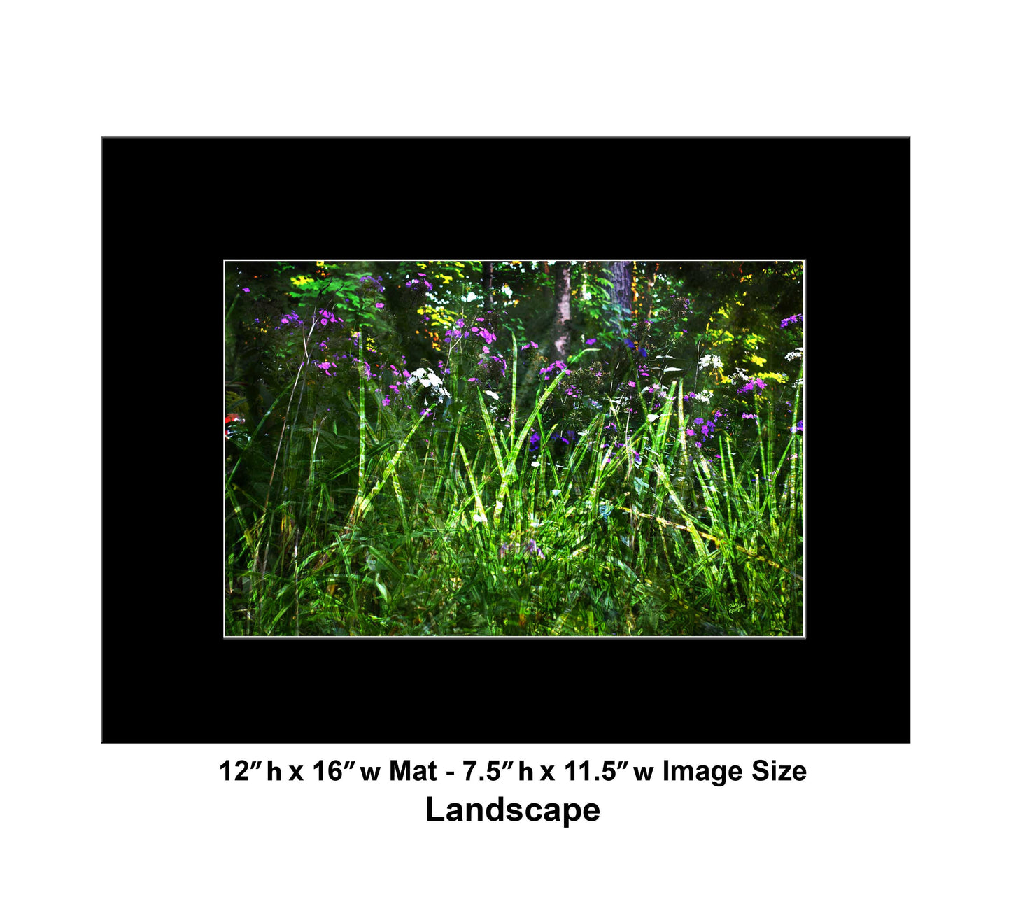 133 Green Grass Color Flowers Landscape