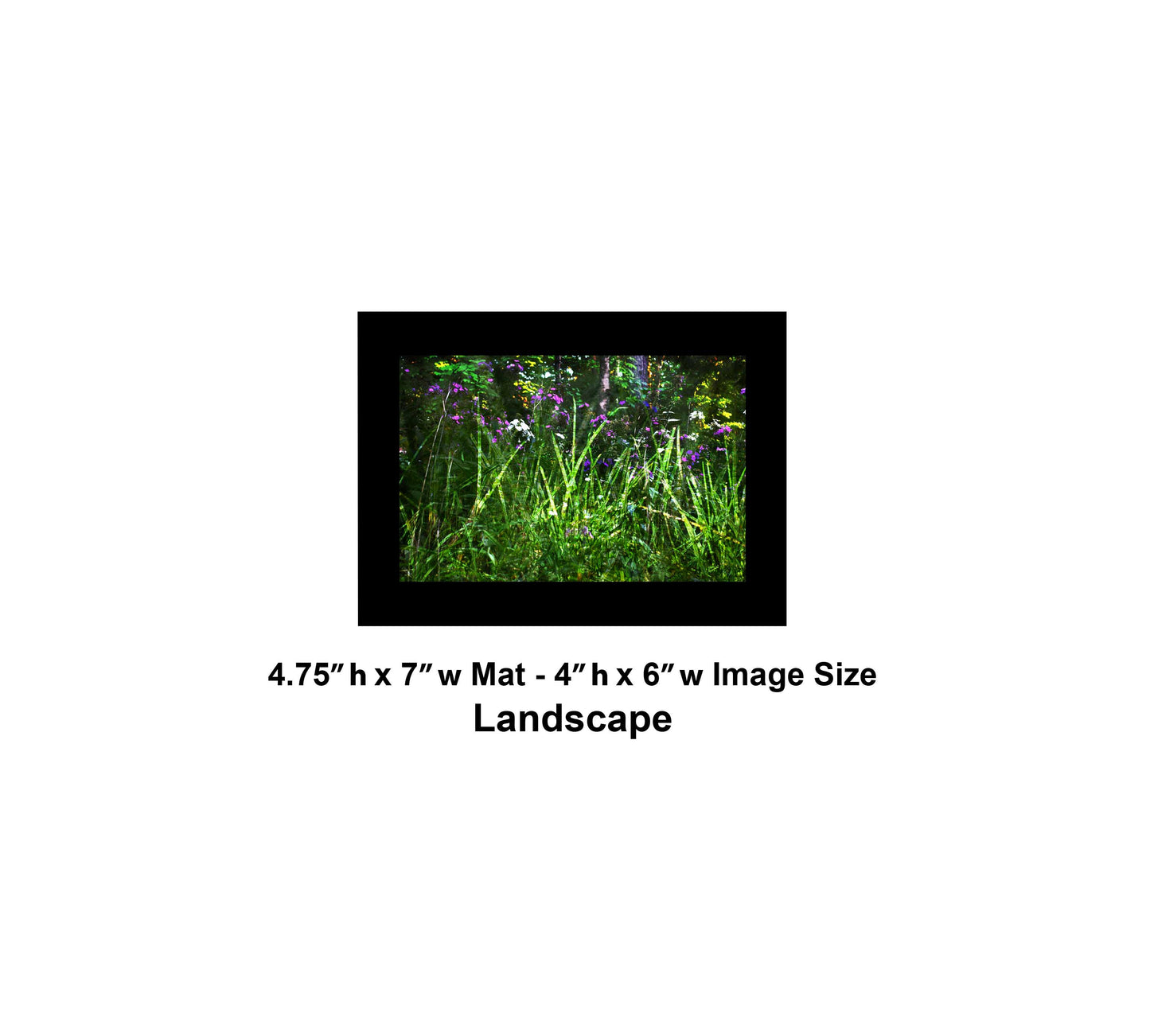 133 Green Grass Color Flowers Landscape