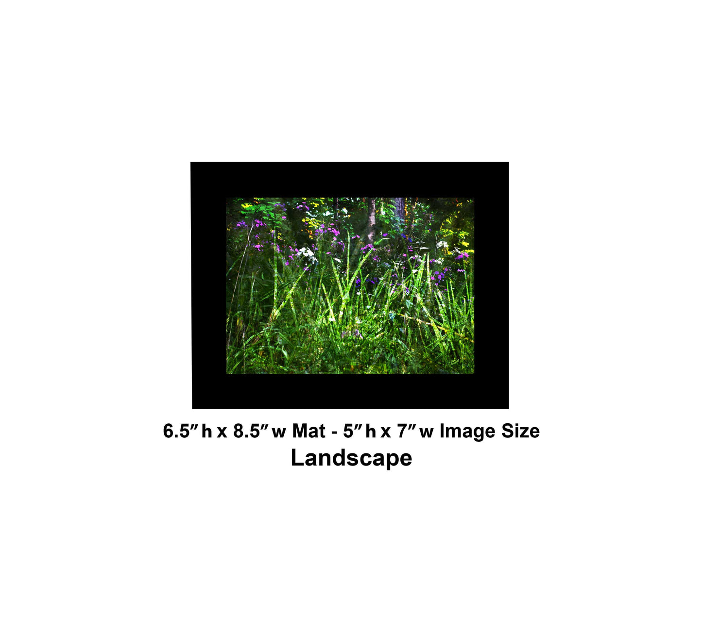 133 Green Grass Color Flowers Landscape