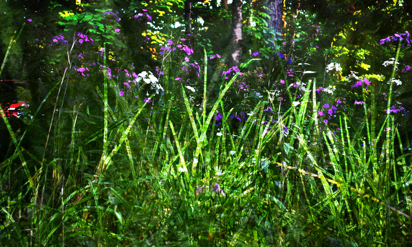 133 Green Grass Color Flowers Landscape