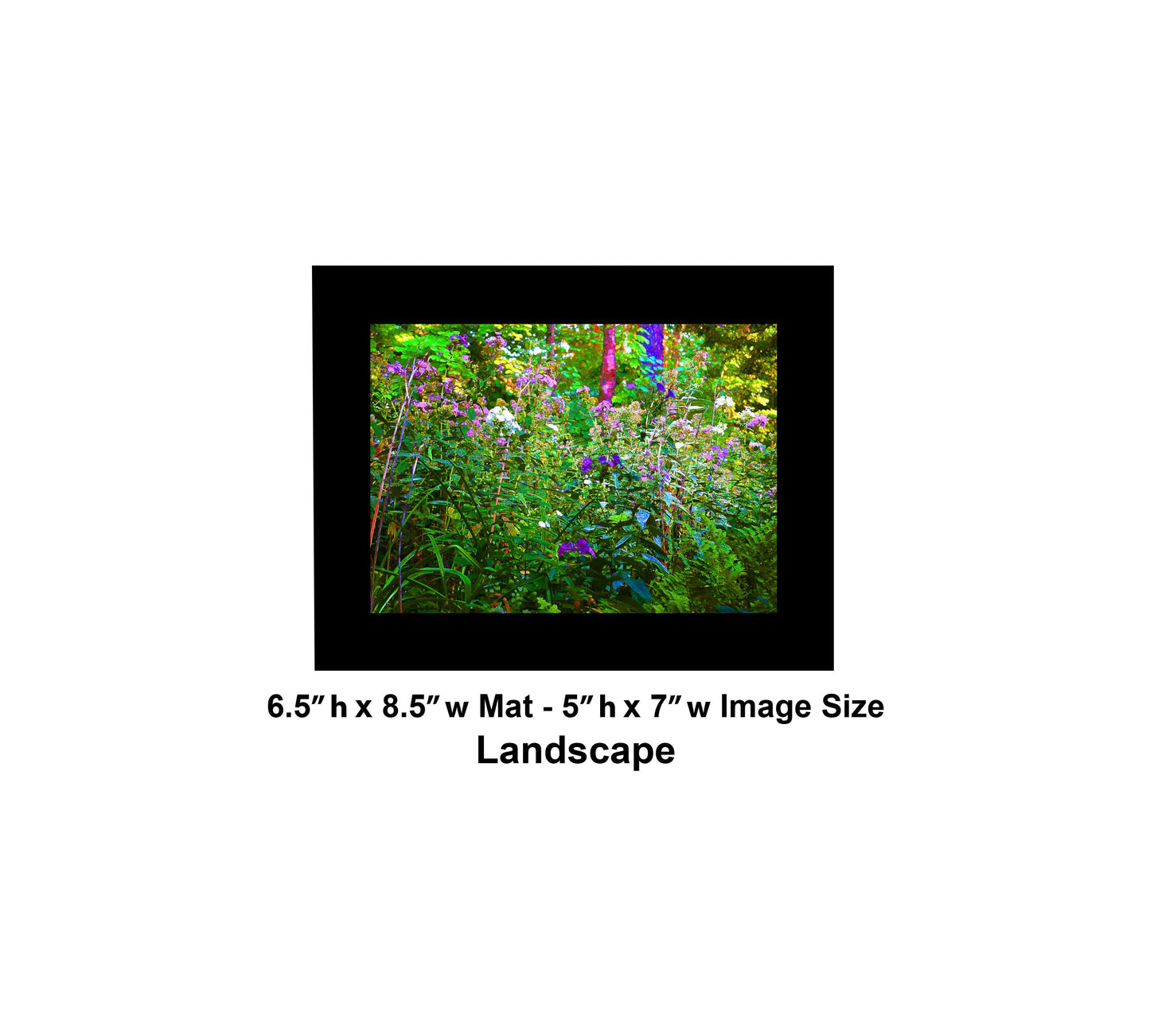 135 Glowing Color Flowers Landscape