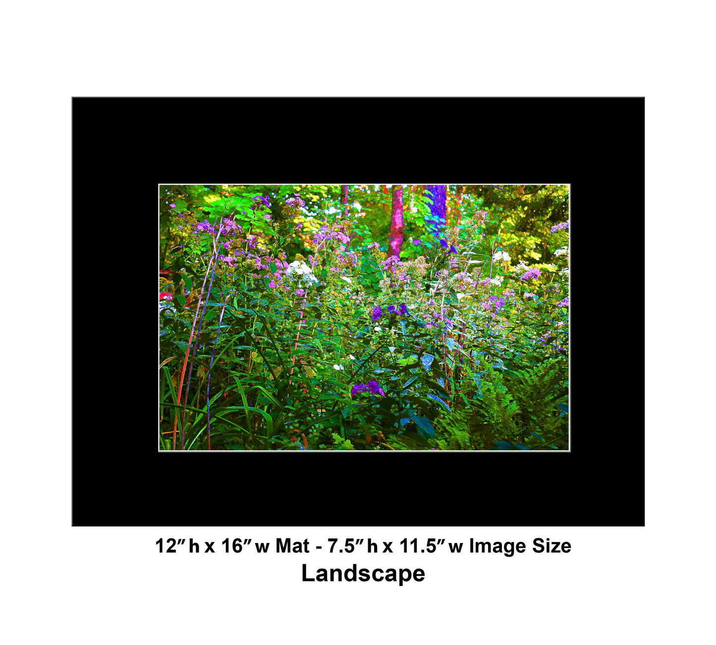 135 Glowing Color Flowers Landscape