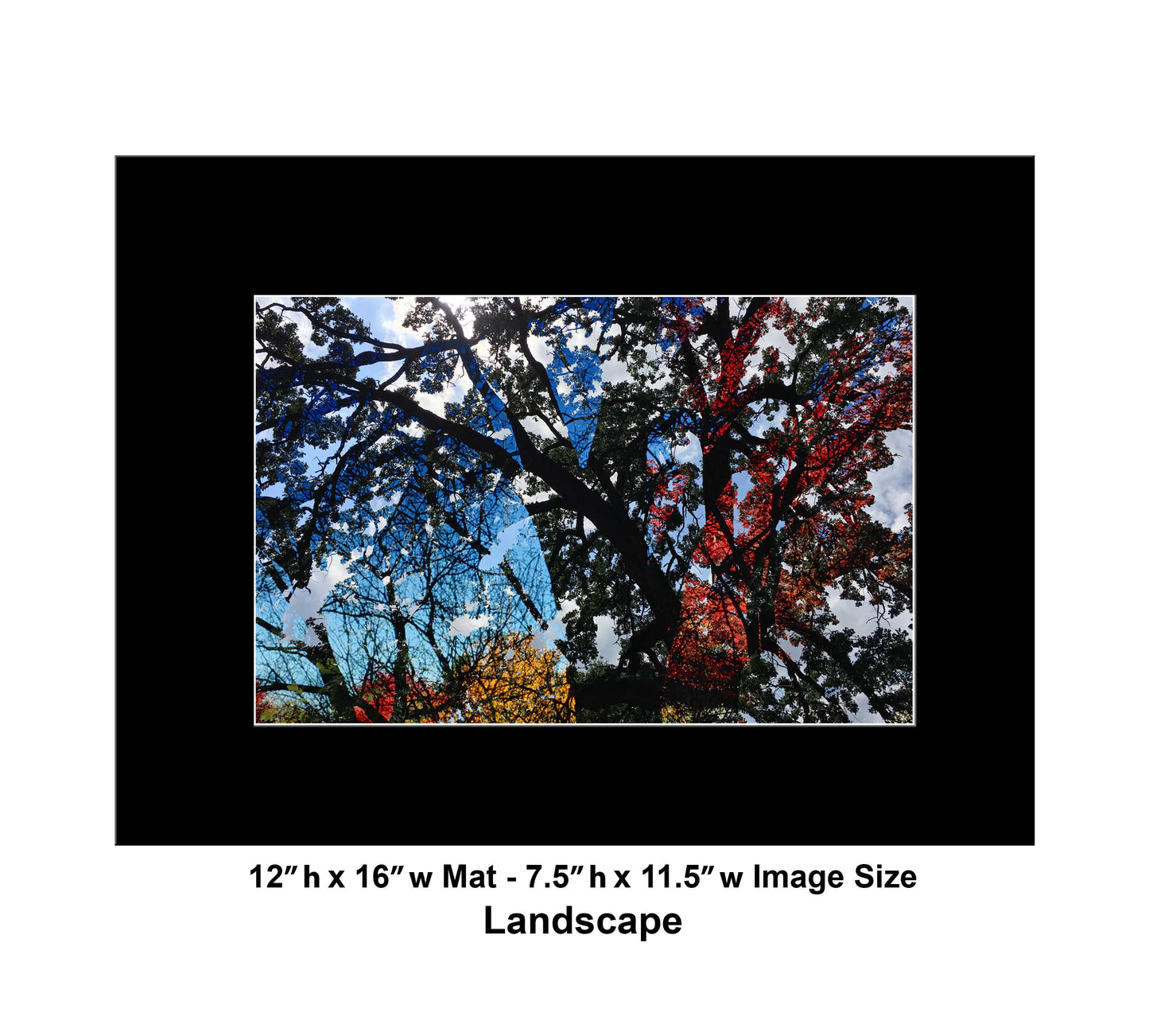 137 Tree Bright Leaves Landscape