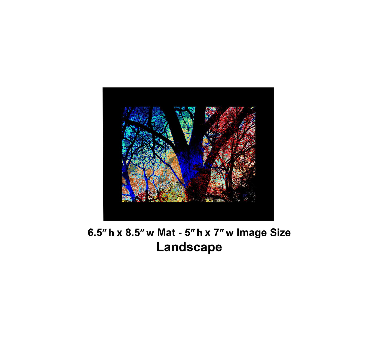 138 Tree Bright Sky Landscape