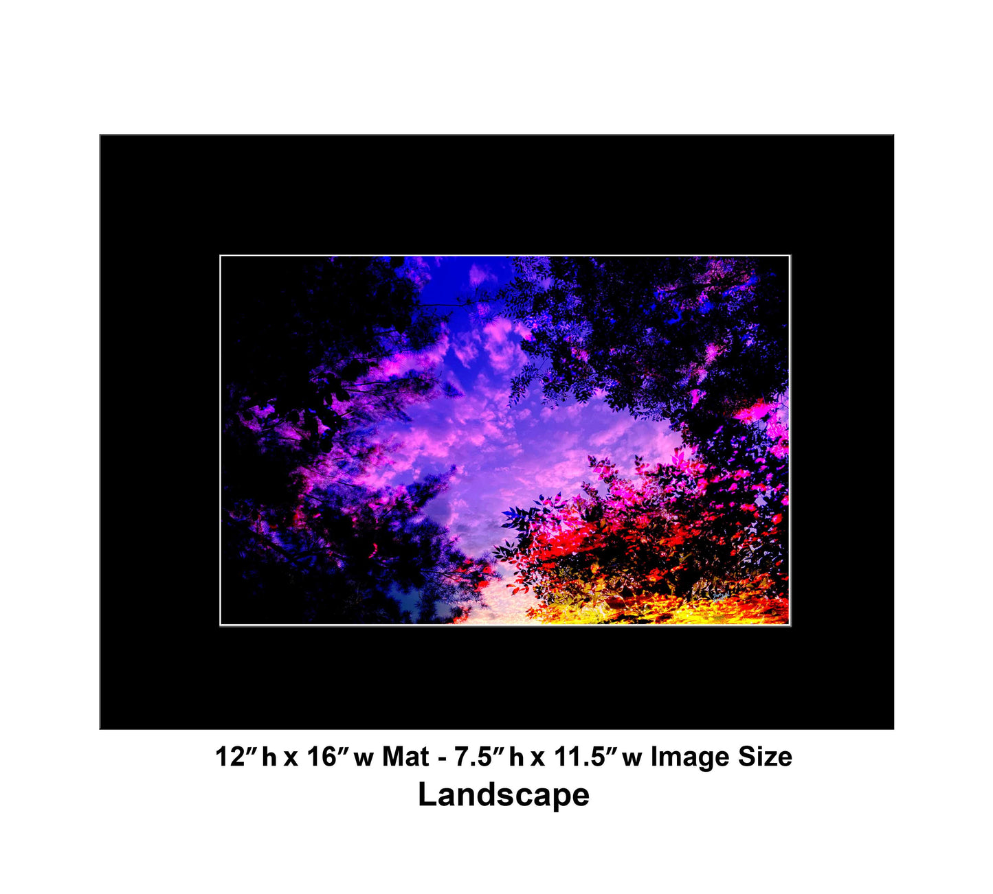 139 Colorful Sky Tree Landscape