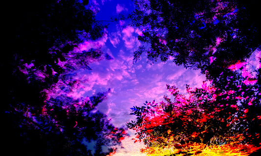 139 Colorful Sky Tree Landscape