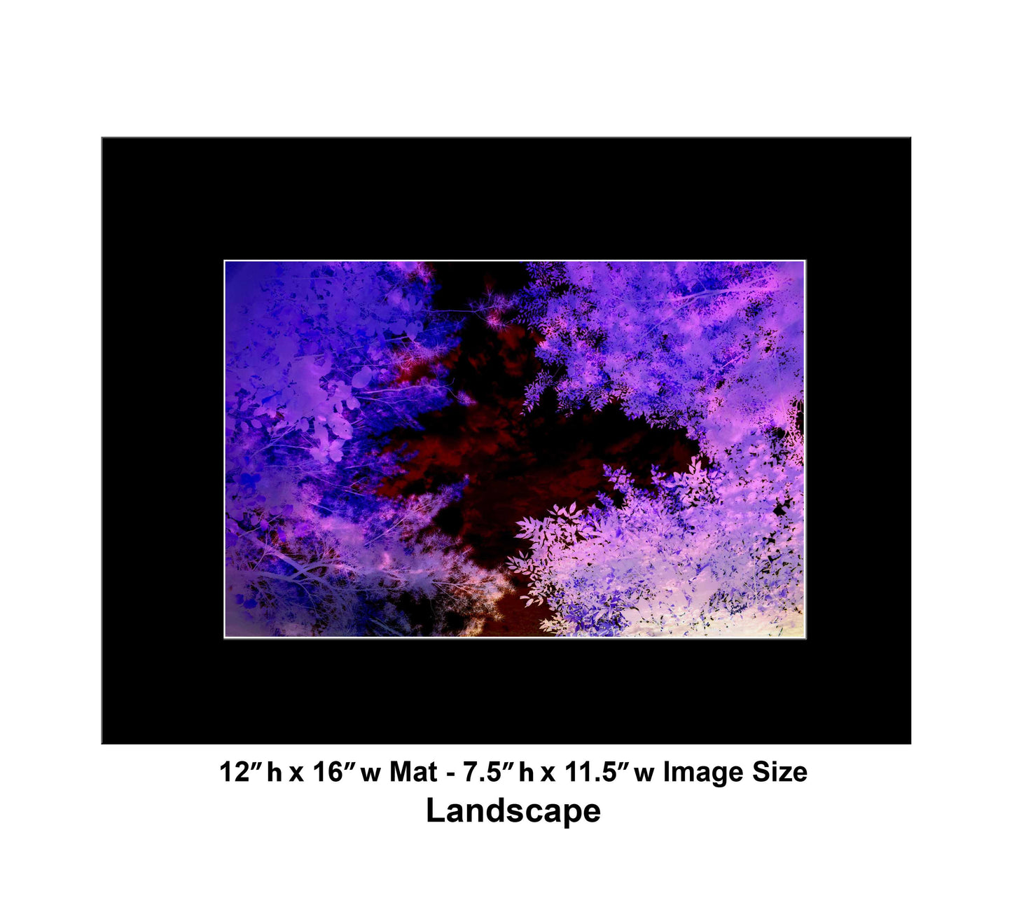 140 Tree Sky Landscape