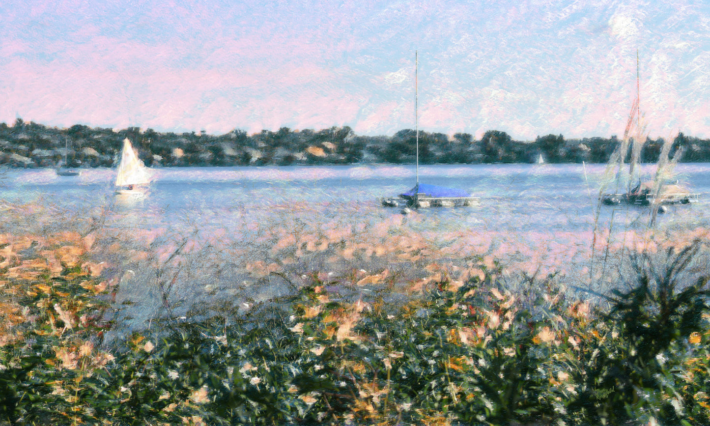 152 Boat Sunny Lake Brush Landscape