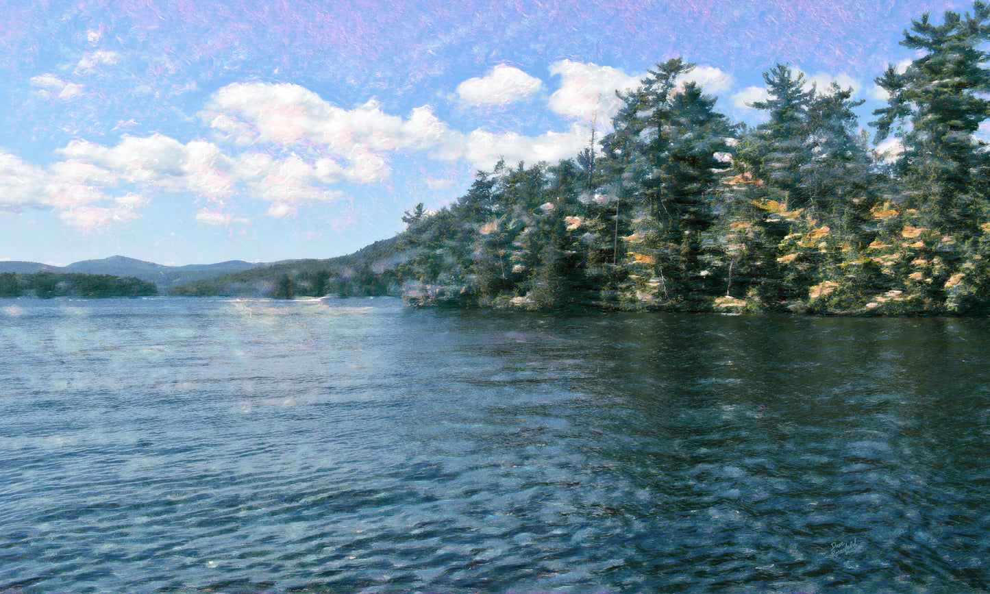 154 Lake Afternoon Brush Landscape