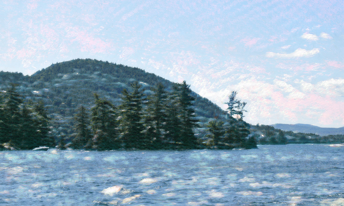 156 Lake Shoreline Brush Landscape