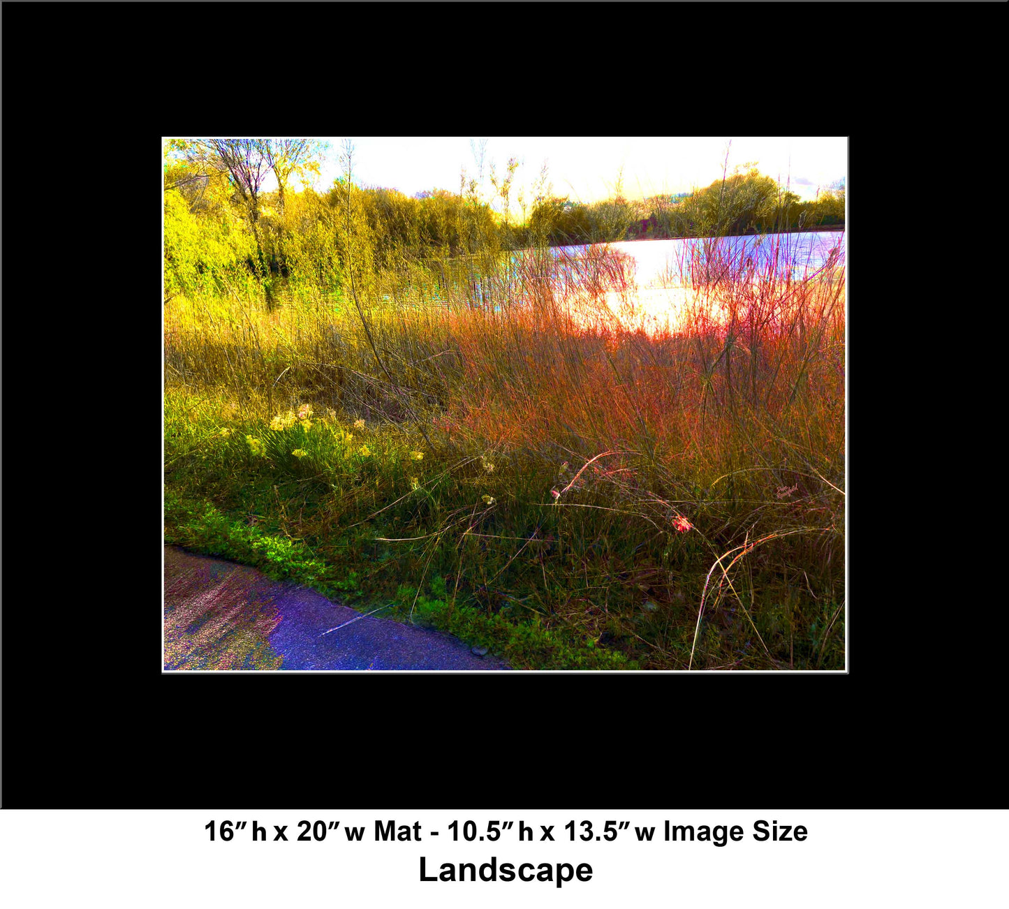 -175-Lake-Reeds-Sun-IMG-6887-1
