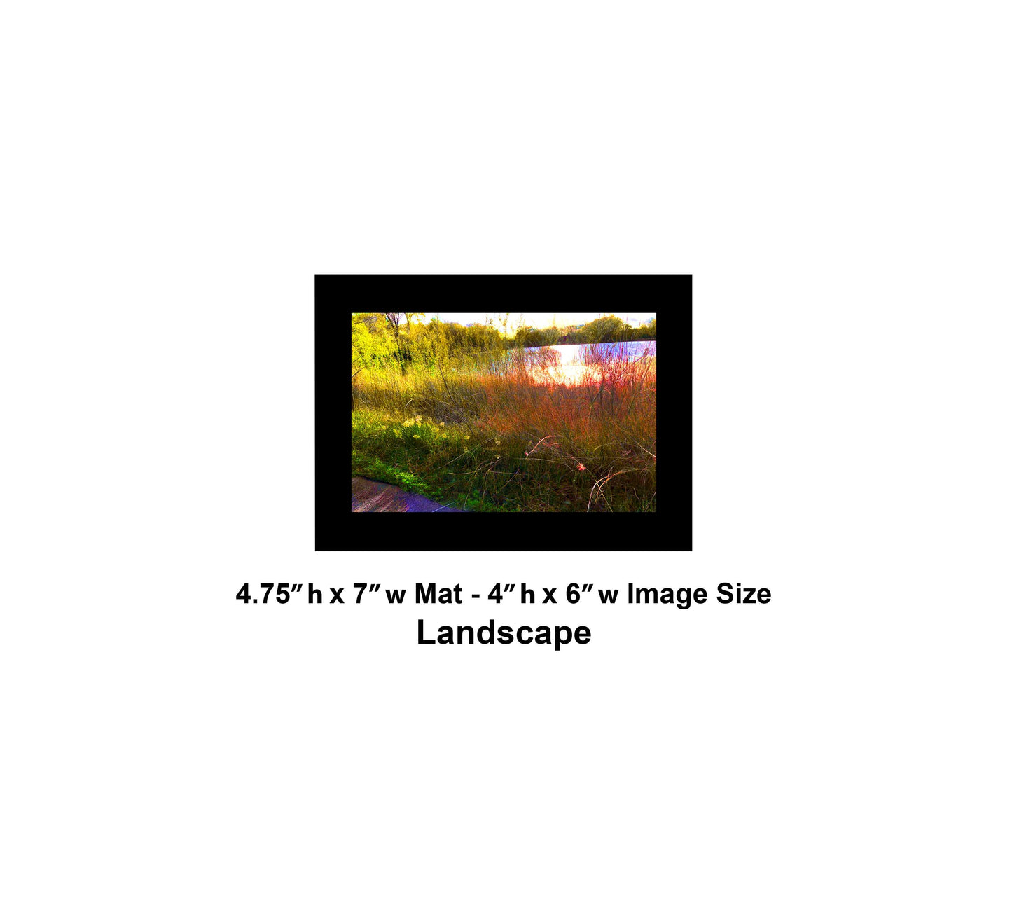 -175-Lake-Reeds-Sun-IMG-6887-1