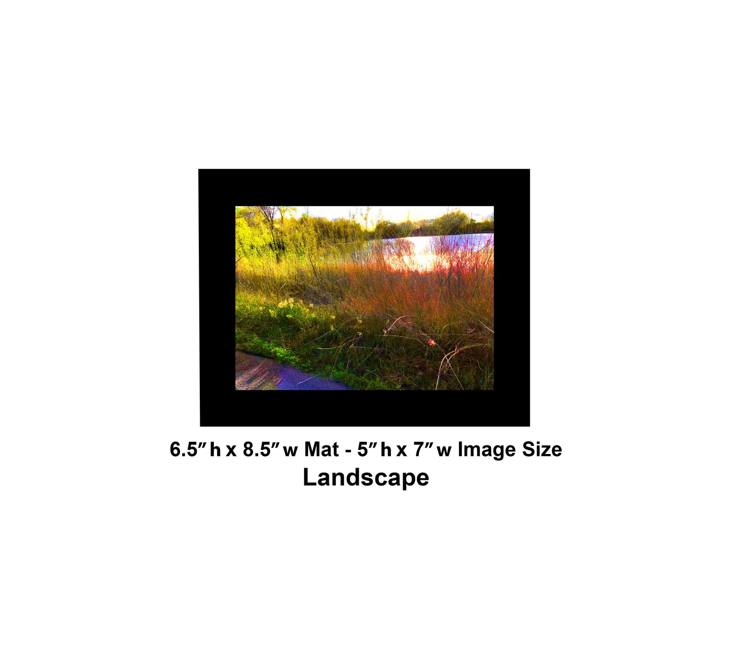 -175-Lake-Reeds-Sun-IMG-6887-1