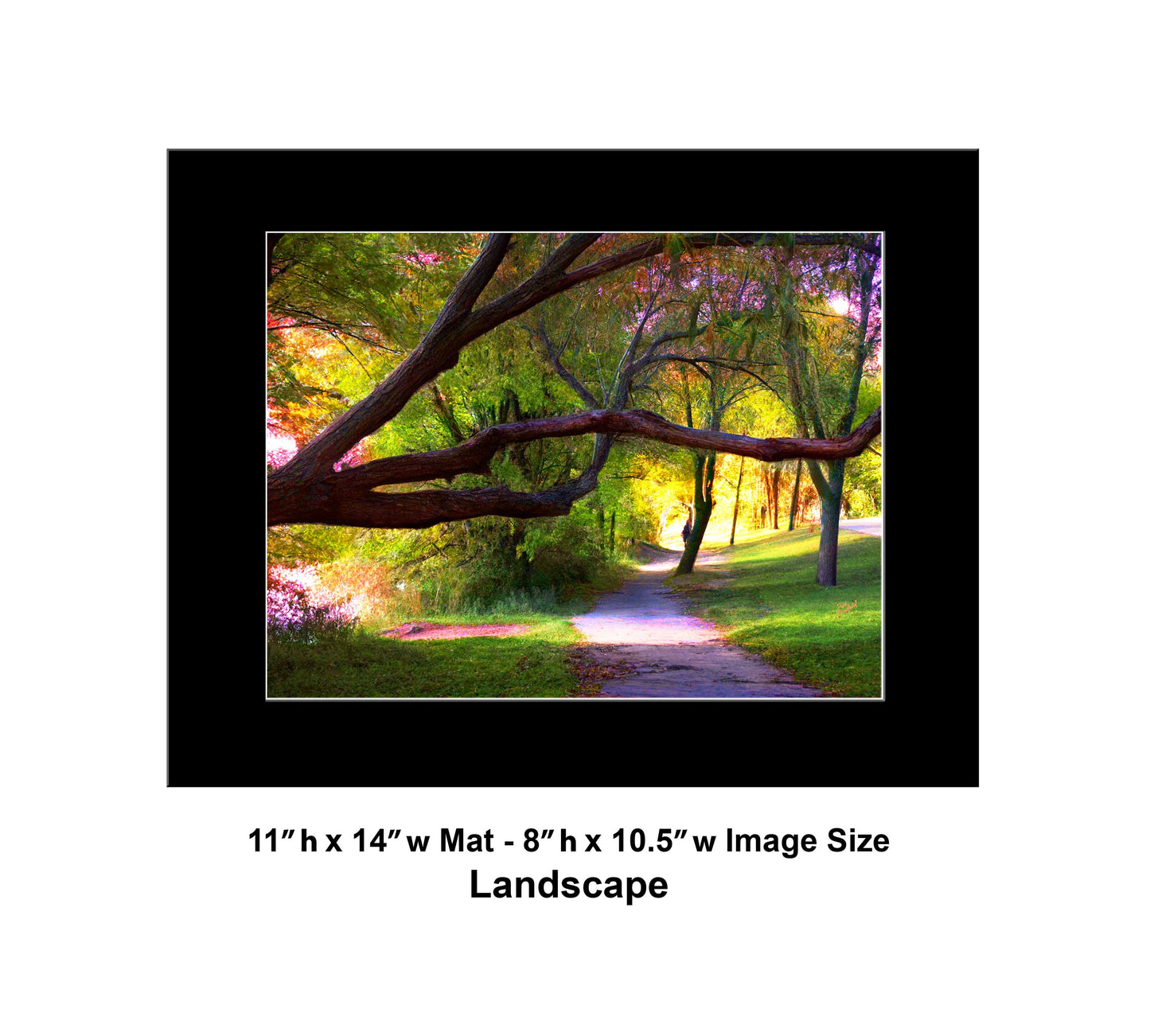-177-Long-Tree-Path-DSC-0963-1