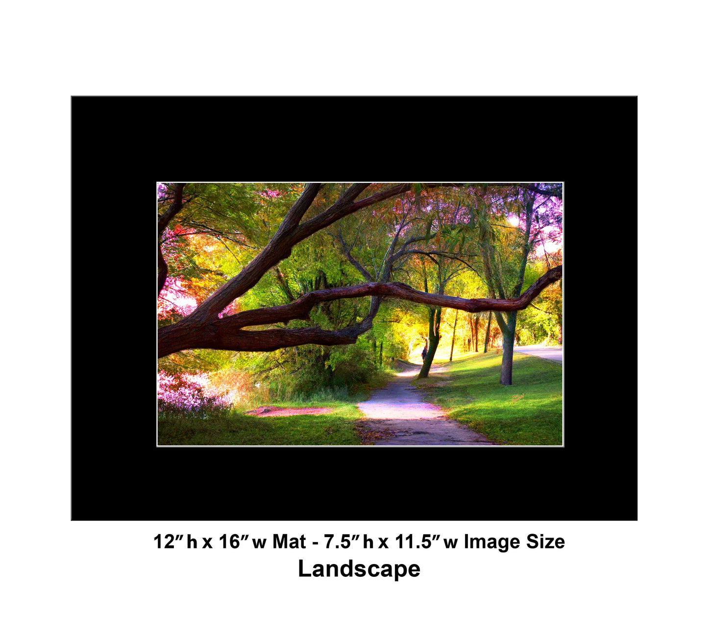 -177-Long-Tree-Path-DSC-0963-1