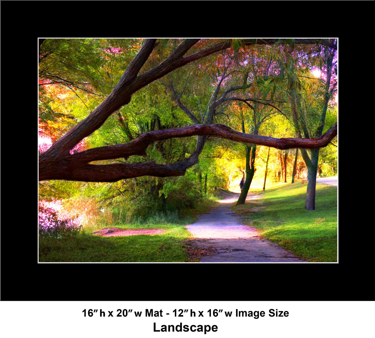 -177-Long-Tree-Path-DSC-0963-1