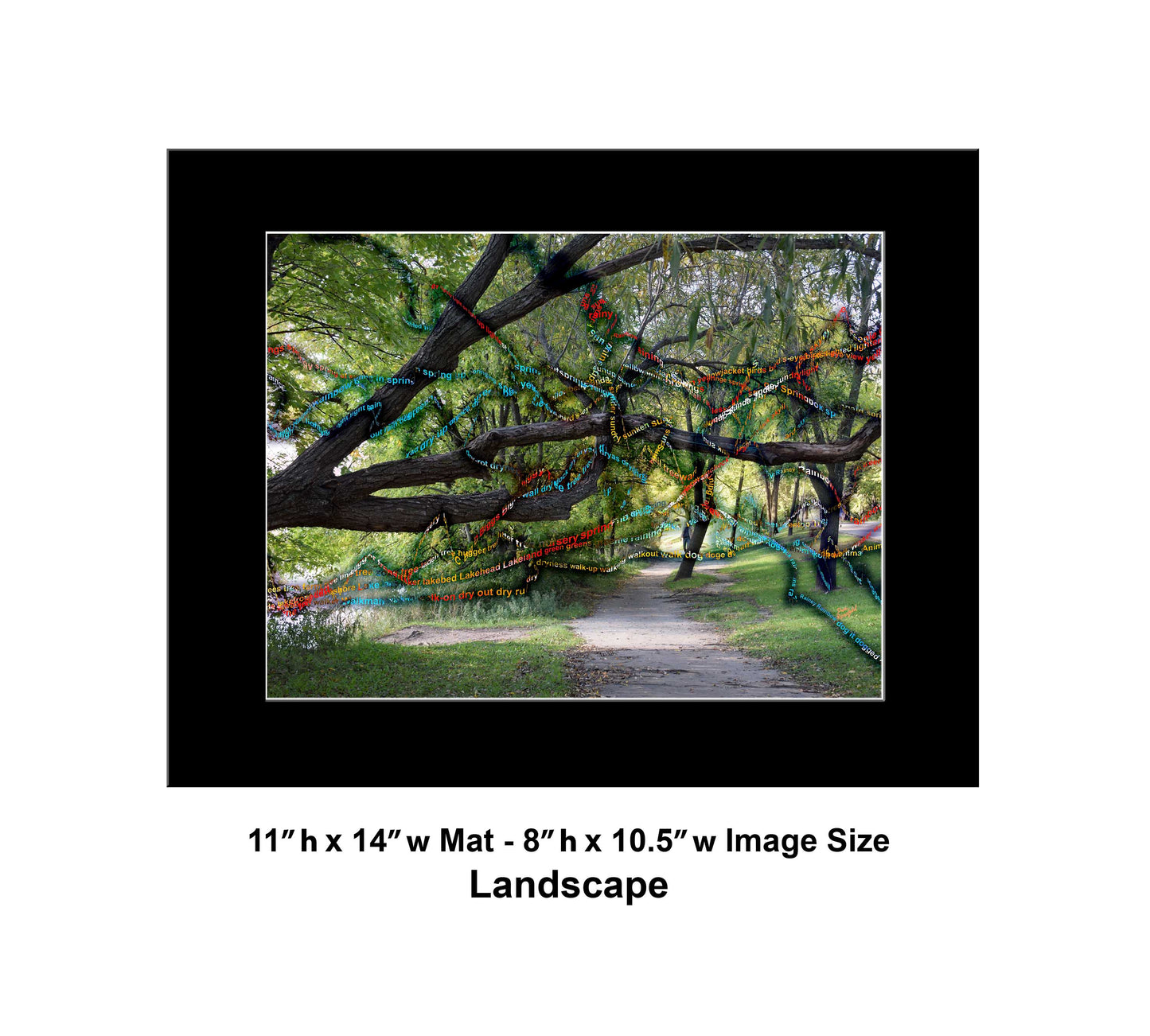 -177-Long-Tree-Path-DSC-0963-2