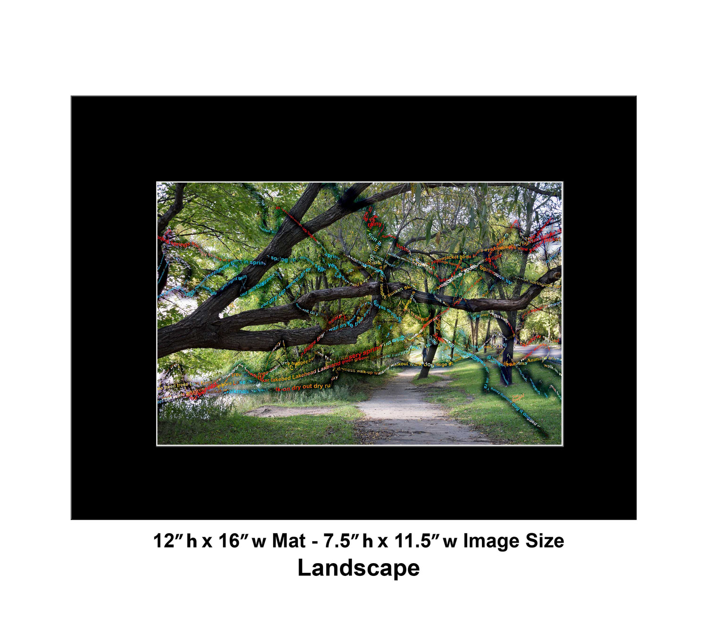 -177-Long-Tree-Path-DSC-0963-2