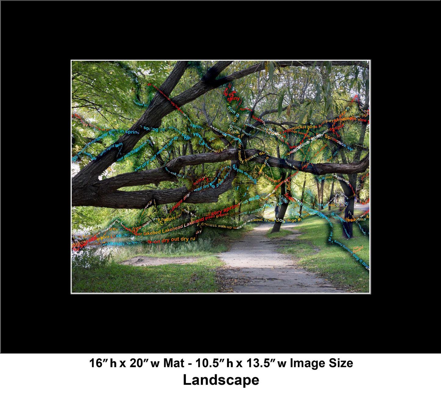 -177-Long-Tree-Path-DSC-0963-2