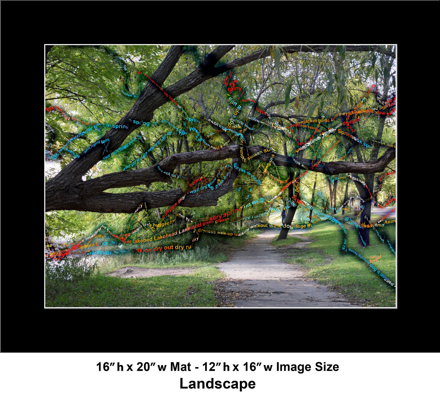 -177-Long-Tree-Path-DSC-0963-2