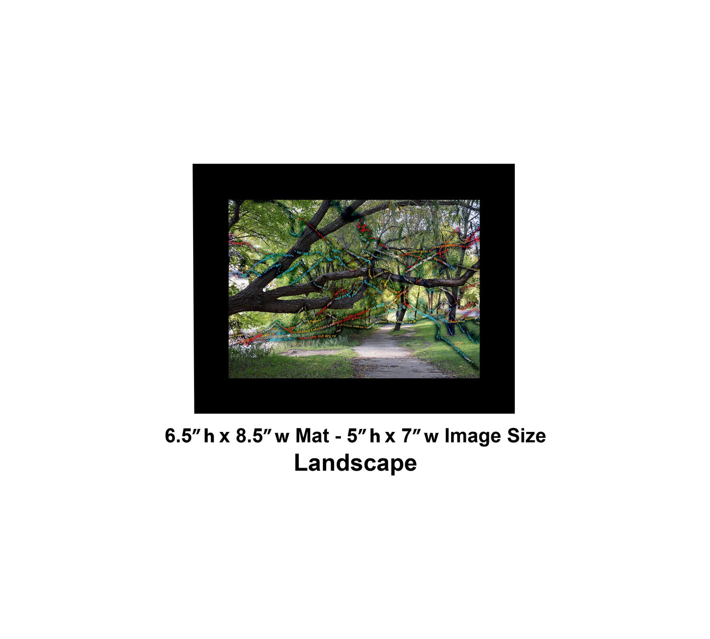 -177-Long-Tree-Path-DSC-0963-2