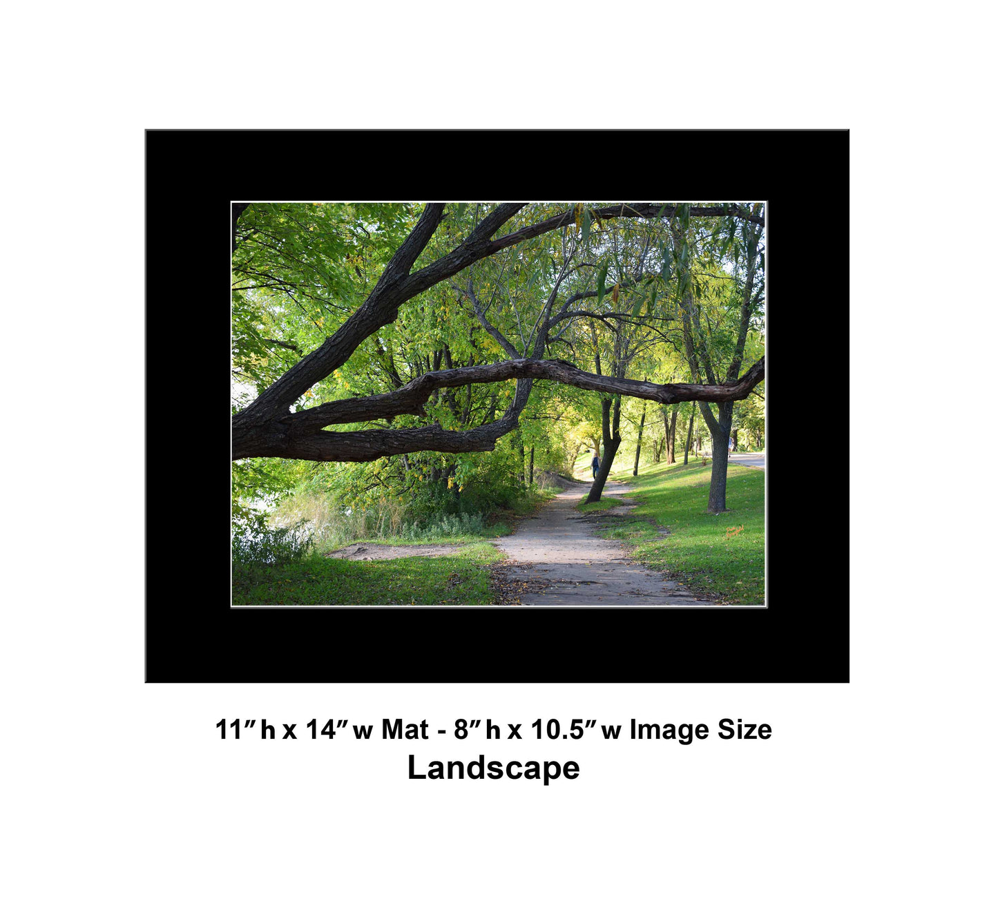 -177-Long-Tree-Path-DSC-0963-Original