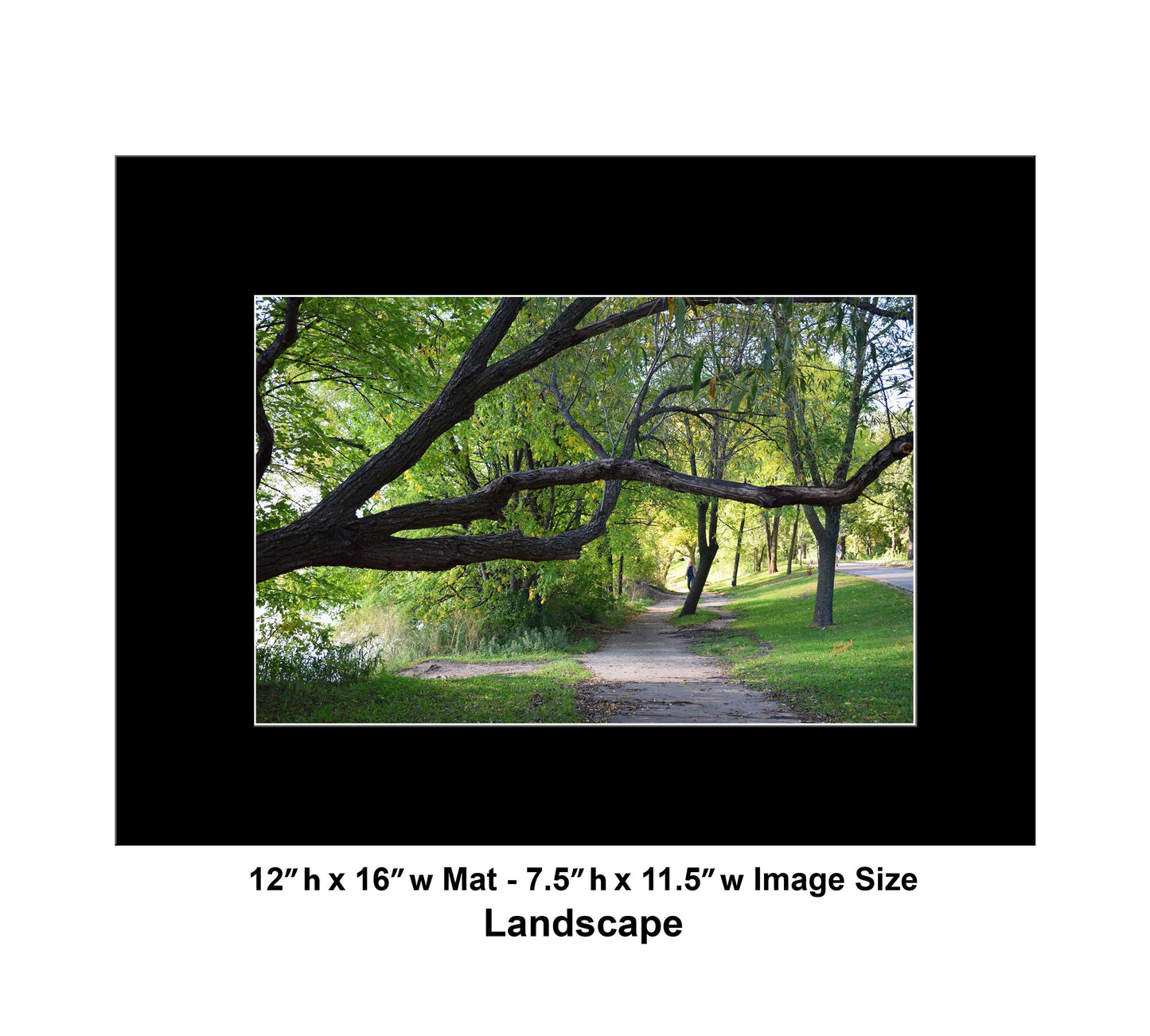 -177-Long-Tree-Path-DSC-0963-Original