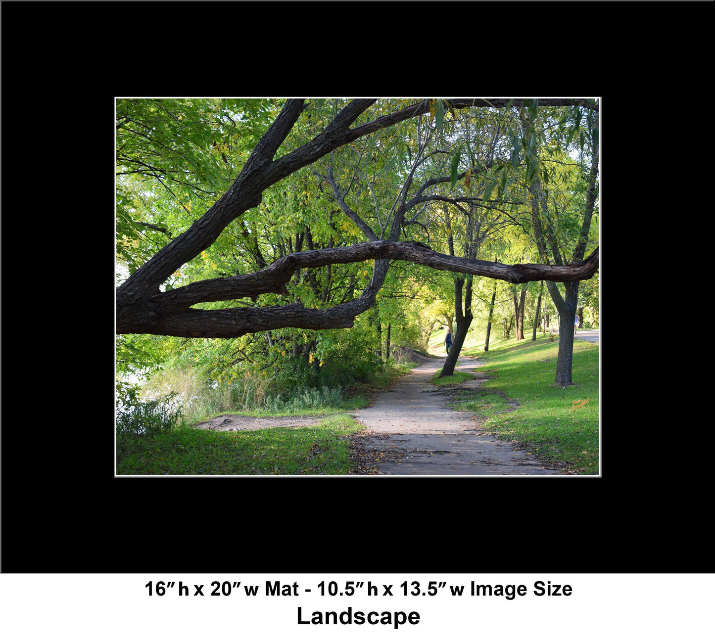 -177-Long-Tree-Path-DSC-0963-Original