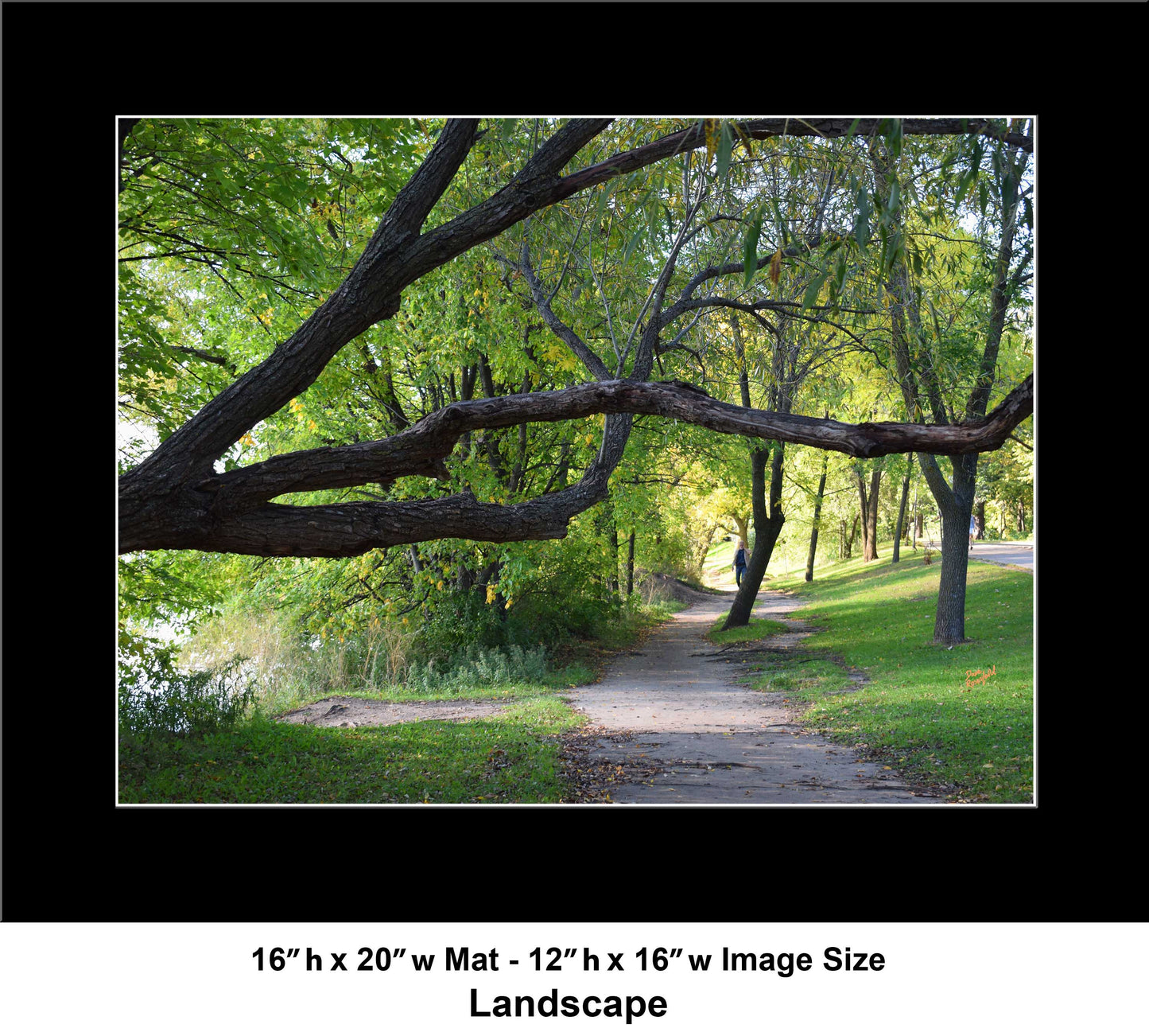 -177-Long-Tree-Path-DSC-0963-Original