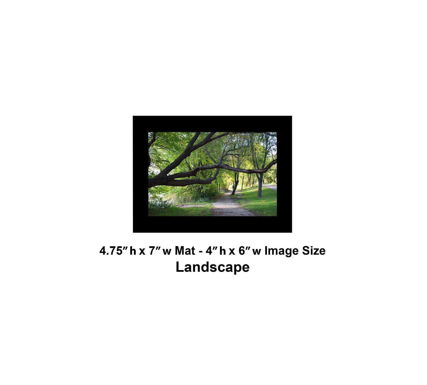 -177-Long-Tree-Path-DSC-0963-Original