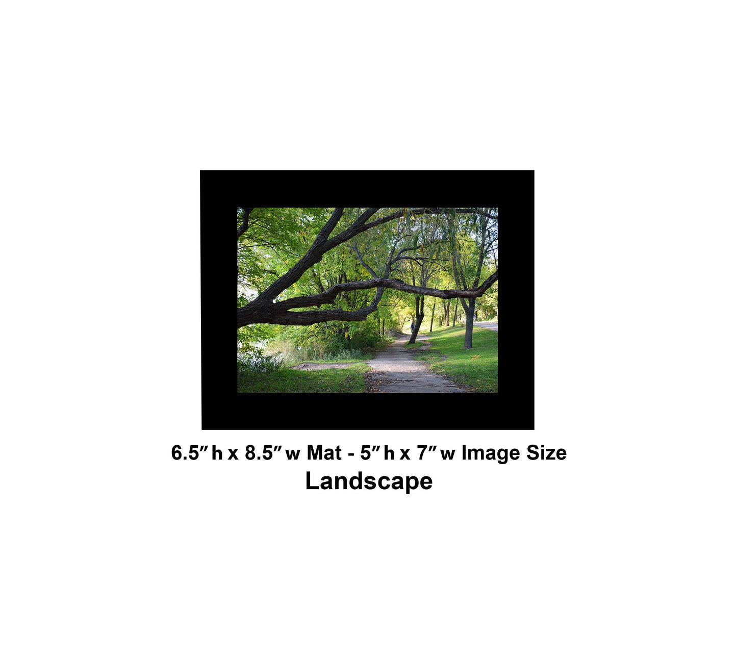 -177-Long-Tree-Path-DSC-0963-Original