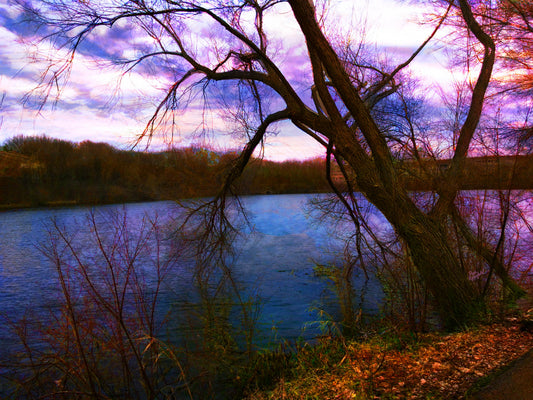 -189-Dark-Tree-Lake-IMG-2556