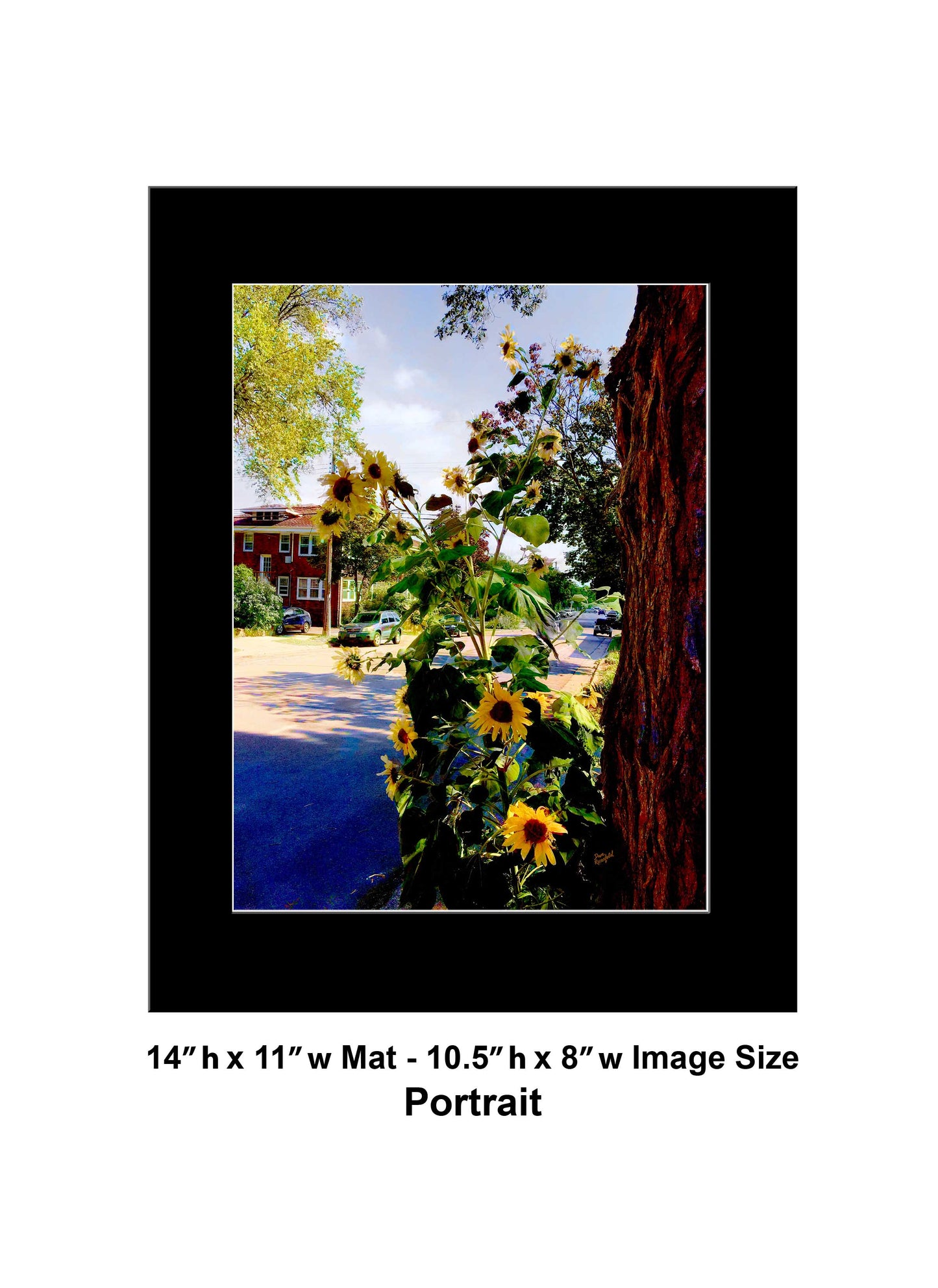 -191-Sunflower-Tree-IMG-4106