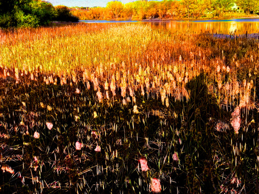 -196-Lake-Reeds-V2-IMG-6907