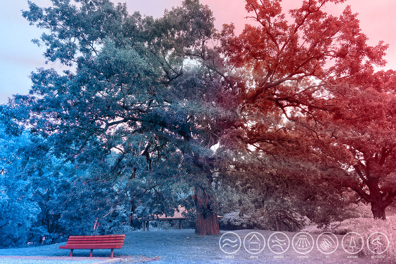 --203 Park Bench Under Tree Ames 2026 IMG_4437